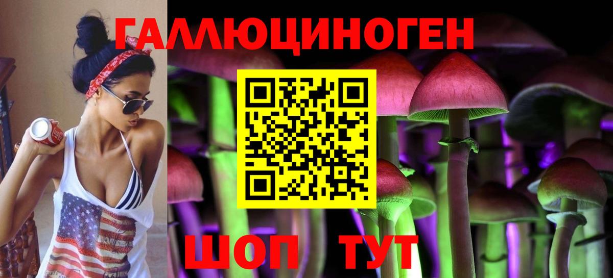 Галлюциногенные грибы Psilocybine cubensis  Вход с VPN  Клинцы 